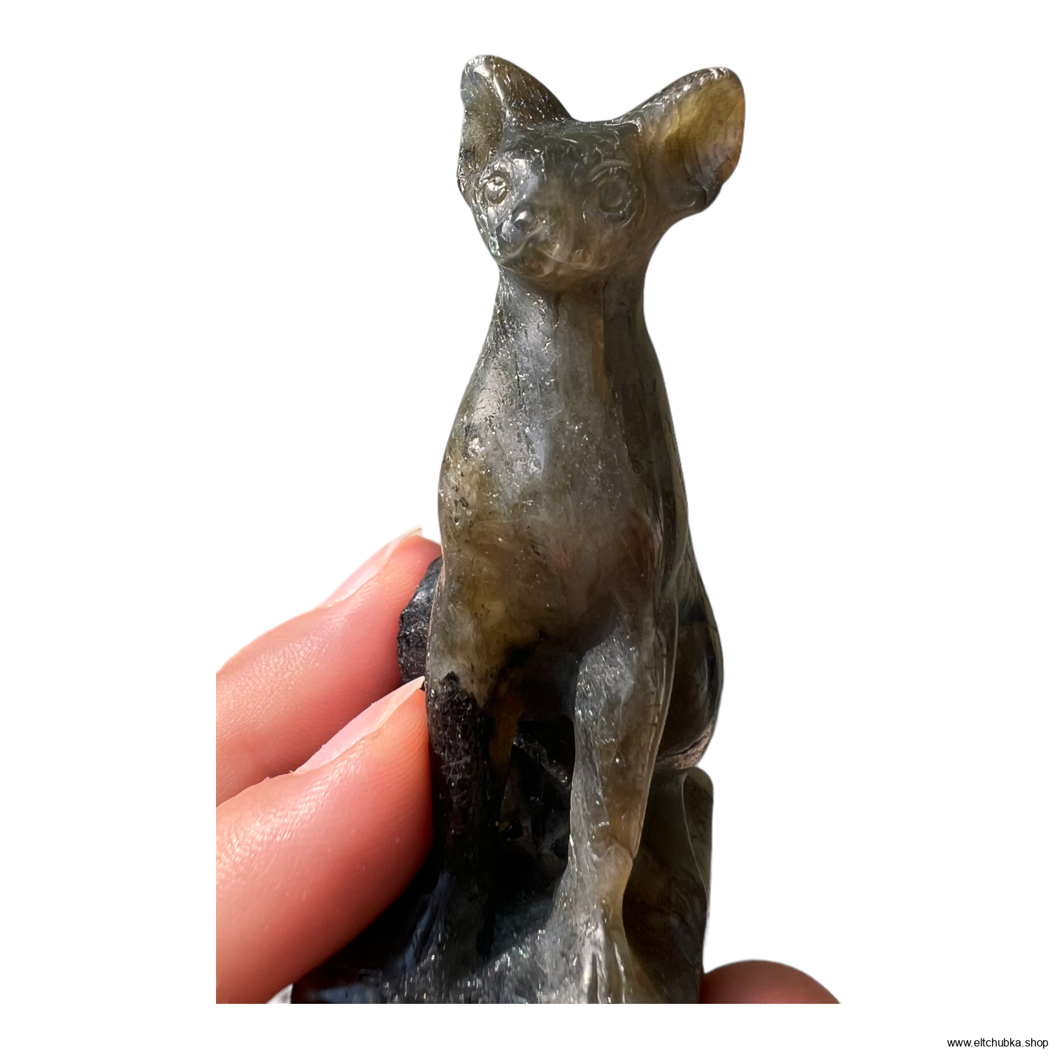 SPHYNX talisman z labradoritu